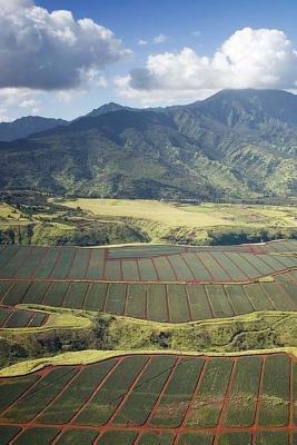 Read Pineapple Fields, Hawaii: Blank 150 Page Lined Journal for Your Thoughts, Ideas, and Inspiration -  file in ePub