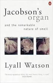 Download Jacobson's Organ: And the Remarkable Nature of Smell - Lyall Watson | ePub