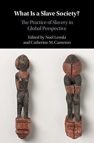 Read Online What Is a Slave Society?: The Practice of Slavery in Global Perspective - Noel Lenski file in ePub