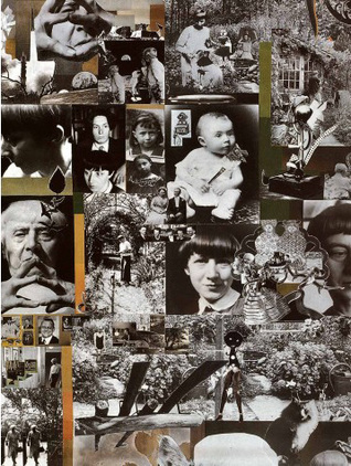 Read Online HANNAH HÖCH (MUSEO NACIONAL CENTRO DE ARTE REINA SOFIA) - VV.AA. file in PDF