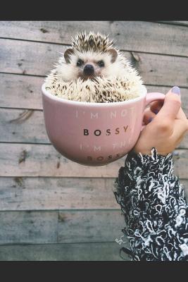 Full Download Journal: A hedgehog journal for your everyday needs -  | PDF